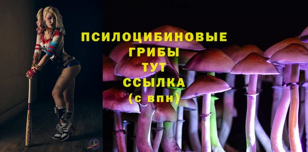 прущая мука Богородск