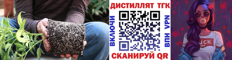 Дистиллят ТГК THC oil Купить закладки Георгиевск