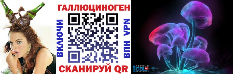 Купить где  Георгиевск  Галлюциногенные грибы Magic Shrooms 