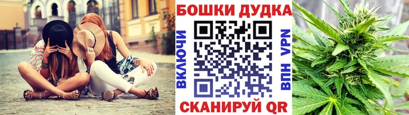 Шишки марихуана сатива  Купить  Георгиевск 